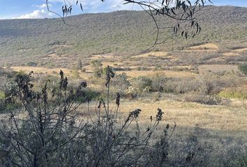 Lote de Terreno en  Avenida Fuentes, Escolásticas, Pedro Escobedo, Querétaro, 76740, Mex