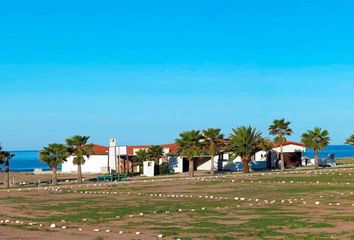 Lote de Terreno en  El Rosario De Abajo, San Quintín, Baja California, Mex