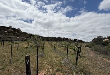 Lote de Terreno en  Carretera Ramal A Francisco Zarco, Ensenada, Baja California, 22766, Mex