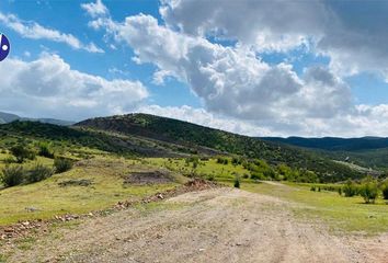 Lote de Terreno en  Rancho Los Olivares, Francisco Zarco, Ensenada, Baja California, 22750, Mex