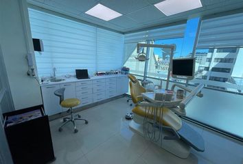 Local en  Valdivia, Valdivia