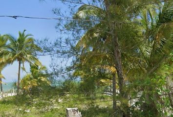 Lote de Terreno en  Palula Beach Camping, X 25 33, San Crisanto, Sinanché, Yucatán, 97424, Mex