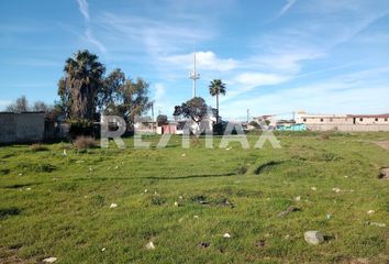 Lote de Terreno en  Murgia, Ensenada