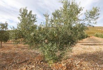 Terreno en  Cozvijar, Granada Provincia