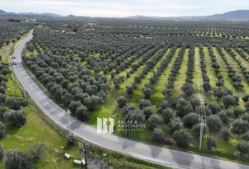 Lote de Terreno en  Carretera Al Porvenir, Ensenada, Baja California, 22753, Mex