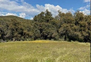 Lote de Terreno en  Carretera Tecate-el Sauzal, Ensenada, Baja California, 22758, Mex