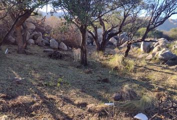 Terrenos en  Villa De La Quebrada, San Luis