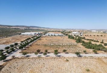 Terreno en  Escuzar, Granada Provincia