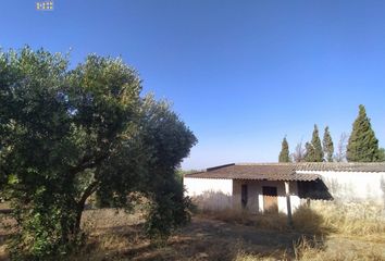Chalet en  Arcos De La Frontera, Cádiz Provincia