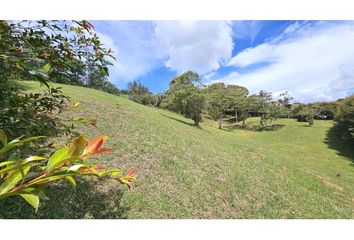 Lote de Terreno en  La Ceja, Antioquia