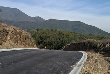 Lote de Terreno en  Carretera Ciudad Victoria-la Colmena, La Colmena De Arriba, Allende, Nuevo León, 67383, Mex