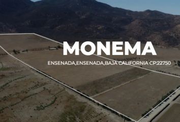 Lote de Terreno en  Rancho Los Olivares, Francisco Zarco, Ensenada, Baja California, 22750, Mex