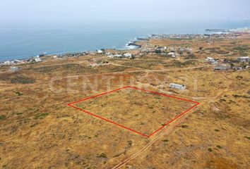 Lote de Terreno en  Murgia, Ensenada