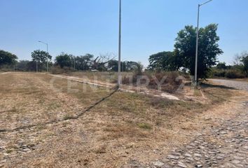 Lote de Terreno en  Rancho O Rancheria Cofradía De Suchitlán, Comala
