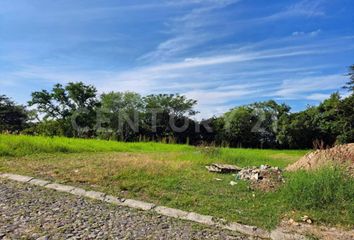Lote de Terreno en  Rancho O Rancheria Cofradía De Suchitlán, Comala