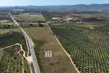 Lote de Terreno en  Carretera El Sauzal-guadalupe, Ensenada, Baja California, 22753, Mex
