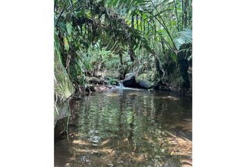 Villa-Quinta en  Arabia, Pereira, Risaralda, Col