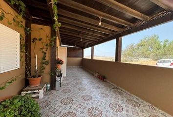 Piso en  La Oliva, Palmas (las)