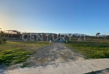 Lote de Terreno en  El Alamo, Ensenada