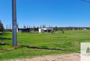 Terrenos en  Estancia Grande, Concordia, Entre Ríos, Arg