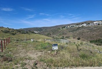 Lote de Terreno en  Calle Cirio, Las Palmas Ii, Ensenada, Baja California, 22860, Mex
