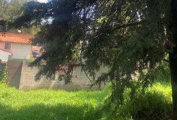Local comercial en  El Molino, Cuajimalpa De Morelos