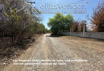 Quinta en  San Mateo, Juárez, Nuevo León