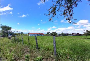 Lotes y Terrenos en  Alto Boquete