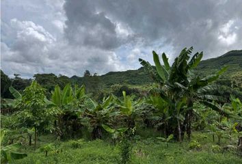 Lotes y Terrenos en  San Francisco, Ciudad De Panamá