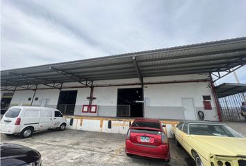Bodega/Galera en  Nuevo Belén, Ciudad De Panamá