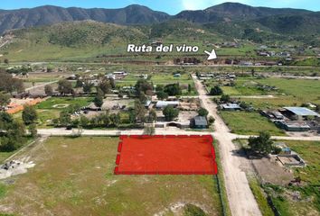 Lote de Terreno en  Rancho Los Olivares, Francisco Zarco, Ensenada, Baja California, 22750, Mex
