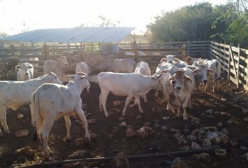 Rancho en  97623, X Bec, Yucatán, Mex