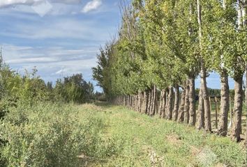 Casa en  Allen, Río Negro