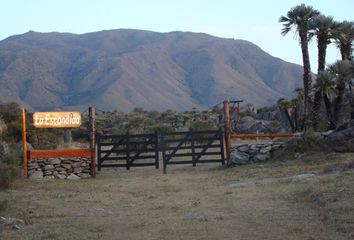 Terrenos en  San Francisco Del Monte De Oro, San Luis