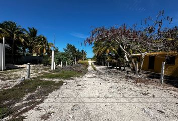 Lote de Terreno en  Palula Beach Camping, X 25 33, San Crisanto, Sinanché, Yucatán, 97424, Mex