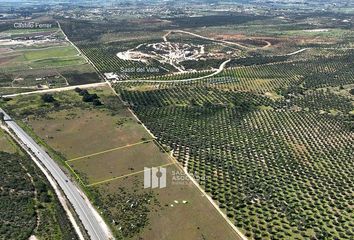 Lote de Terreno en  Carretera El Sauzal-guadalupe, Ensenada, Baja California, 22753, Mex