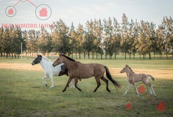 Terrenos en  Estancia Grande, Entre Ríos