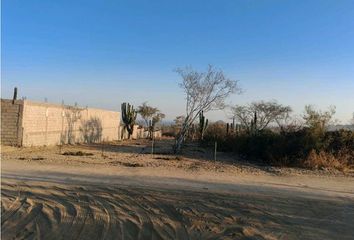 Lote de Terreno en  Portales, Cabo San Lucas