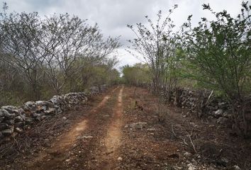 Lote de Terreno en  J And S, Entre 10 Y 12 21, Sinanché, Yucatán, 97420, Mex