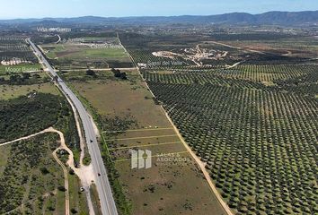 Lote de Terreno en  Carretera El Sauzal-guadalupe, Ensenada, Baja California, 22753, Mex