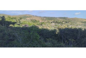Finca/Hacienda en  Los Tíos Favoritos, Penonomé, Penonome, Cocle, Pan