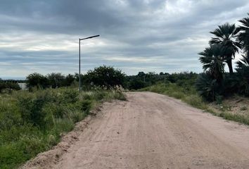 Terrenos en  Papagayos, San Luis