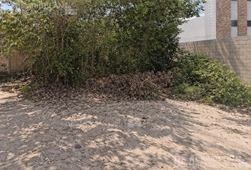 Lote de Terreno en  Colonia Supermanzana 312, Cancún, Quintana Roo