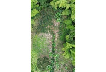 Villa-Quinta en  Carrera 5, Filandia, Quindio, Col