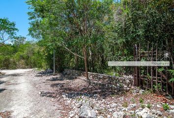 Lote de Terreno en  Abarrotes El Milagro, Maya Pax, Tulum, Quintana Roo, 77760, Mex