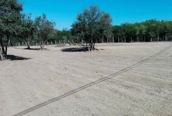 Lote de Terreno en  Calle Refugio Gracia, Allende, Nuevo León, 67354, Mex