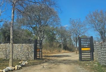 Lote de Terreno en  67617, El Pastor, Nuevo León, Mex