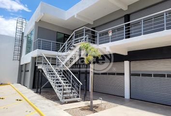Local comercial en  Gimnasio De Boxeo Chatito González, Calle Crisantemo 336, Gobernadores, Durango, 34049, Mex