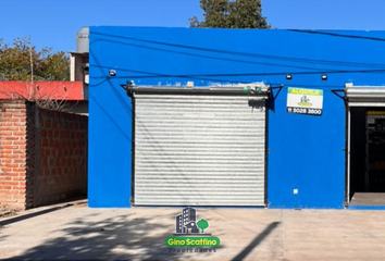 Locales en  Calle Independencia 1440, General Rodríguez, B1749, Provincia De Buenos Aires, Arg