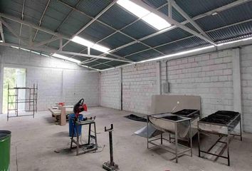 Bodega en La Enea, Manizales